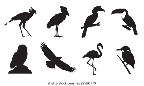 A collection of black silhouettes featuring various bird species, including a toucan, flamingo, owl, eagle, and other exotic tropical avian wildlife figures.