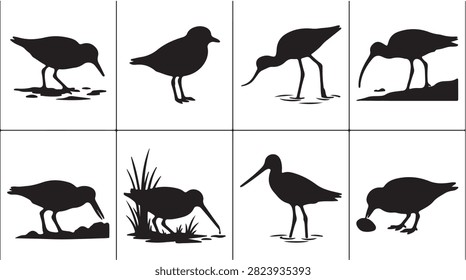 A collection of black silhouettes featuring various shorebirds, sandpipers, and wading birds in different standing and feeding poses on a white background.