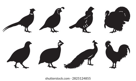 A collection of black silhouettes featuring various game birds and poultry, including a pheasant, quail, turkey, peacock, and rooster, arranged in two rows against a plain white background.