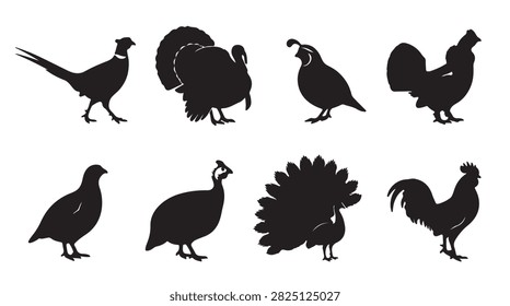 A collection of black silhouettes featuring various farm and game birds, including a turkey, pheasant, chicken, rooster, peacock, and quail, isolated on a plain white background for design.