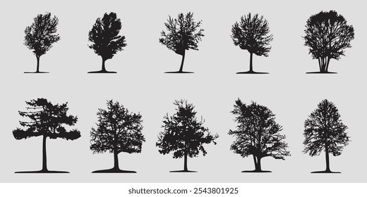 Colección de siluetas negras de árboles del parque. Vector sobre un fondo gris
