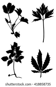 Collection of black silhouettes of plants on white background.