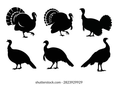 A collection of black silhouettes of turkeys in various poses, including strutting and standing, isolated on a white background for Thanksgiving designs.