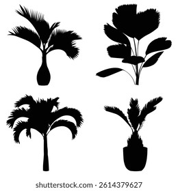 collection of black silhouettes of various types of palm trees