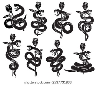 collection of black snakes with rose isolated on white background