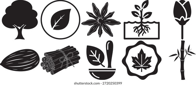 Colección de iconos de vectores negros que representan ingredientes orgánicos naturales hierbas especias y símbolos de medicina herbaria que incluyen una hoja de árbol estrella anís canela palos almendra y mortero y herramientas de mortero
