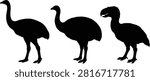 A collection of black vector silhouettes featuring large prehistoric flightless birds, including moa, elephant bird, and terror bird species. Ideal for educational materials, scientific illustrations, natural history projects, and posters.