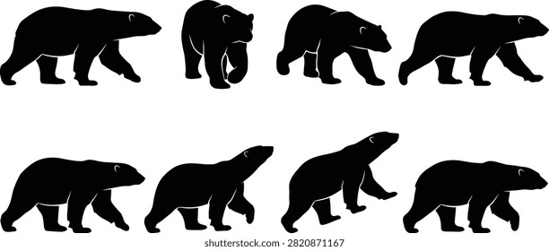 A collection of black vector silhouettes featuring polar bears walking, pacing, front view waddling, and looking upwards for arctic wildlife and environmental designs.