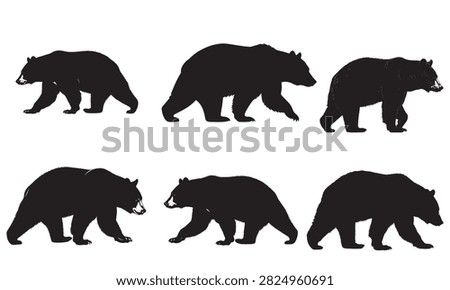 Collection of black vector silhouettes showcasing various walking bears with different textures and poses, isolated on a white background for versatile wildlife design applications.
