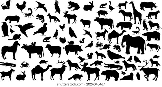 
collection of black and white animal pictures