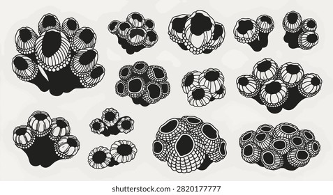 Collection of black and white barnacle silhouettes and line art illustrations. Hand-drawn sea crustacean clusters isolated on a light background for marine and nautical design themes.