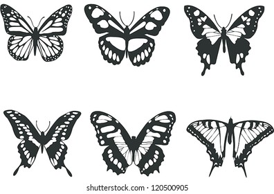 Collection black and white butterflies for design isolated on white (vector)