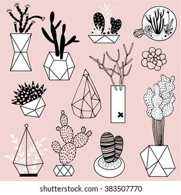 Collection of black and white cactus and succulents on pink background. Vector set with succulents flowers, concrete pots and glass terrariums. Minimalistic Geometric Vector illustration.