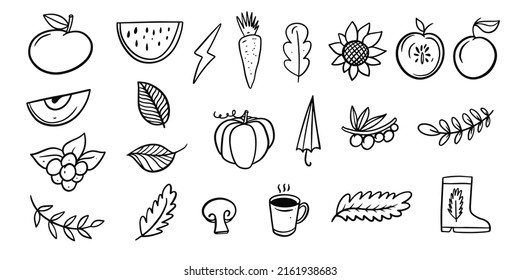 Collection of black and white doodle icons on autumn theme