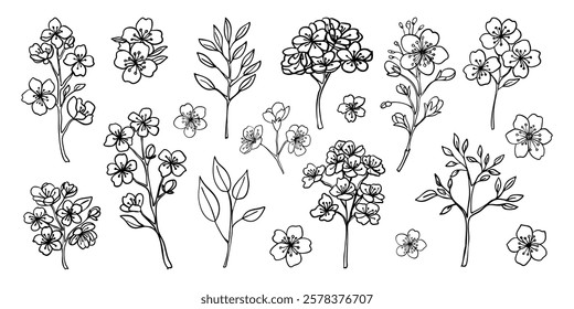 A collection of black and white drawings of flowers. The drawings are of various types of flowers, including roses, daisies, and lilies