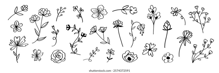 Collection of black and white floral sketches. Simple floral designs, various flower types. Floral art, flower sketches, black and white flowers. Cute hand drawn floral elements, vector set.
