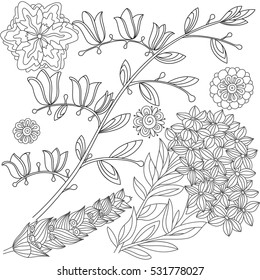 Collection of black and white flowers