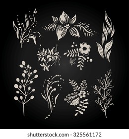 Collection of black and white flowers, branches and berries in handdrawn style. Vector illustration.