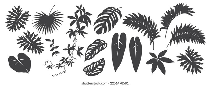 Collection of black and white graphic silhouettes. Tropical leaves set. Abstract foliage elements isolated on a white background. 