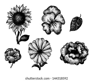 Collection of black and white hand drawn flowers. Vector set.