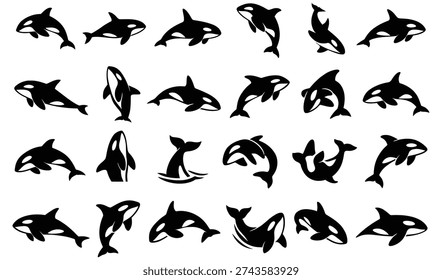 Collection of black and white killer whale orca silhouettes in various poses