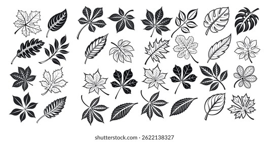 Colección de siluetas de hojas en blanco y negro, diversas Ilustraciones de hojas en blanco y negro para proyectos de diseño, hoja, hojas, otoño, otoño, naturaleza, planta, botánico, ilustración, gráfico, diseño, pat