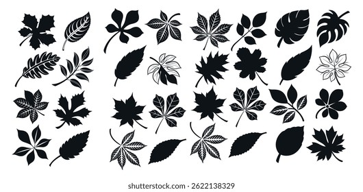 Collection of Black and White Leaf Silhouettes, Diverse Black and White Leaf Illustrations for Design Projects, leaf, leaves, autumn, fall, nature, plant, botanical, illustration, graphic, design, pat