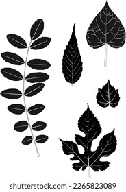 collection of black and white leaves, on white background, vector