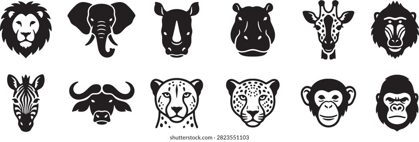 A collection black 