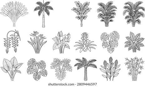 Collection of black and white line showing various tropical plants, palm trees, and exotic flowers for botanical projects.