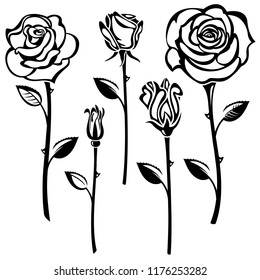 Collection of black and white roses