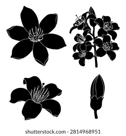 Collection of black and white silhouettes featuring different flower types, including a blooming flower, a cluster of flowers, a large blossom, and a flower bud.