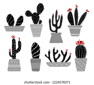 Collection of black and white vector cacti in pots on a white background. Blooming cactus, home plant, set