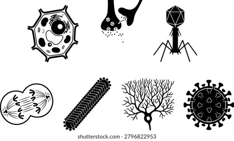 A collection of black and white vector icons representing scientific microbiology, cellular structures, and viral anatomy. This versatile set is perfect for educational textbooks, medical research presentations, lab branding, and scientific graphic design.