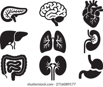 Coleção de vetor preto e branco órgãos humanos internos. Inclui cérebro, coração, fígado, pulmões, rins, estômago, intestinos, pâncreas e vesícula biliar. Elementos vetoriais de anatomia humana para projetos médicos, educacionais, de saúde ou biológicos. Ilustração vetorial de órgãos internos.