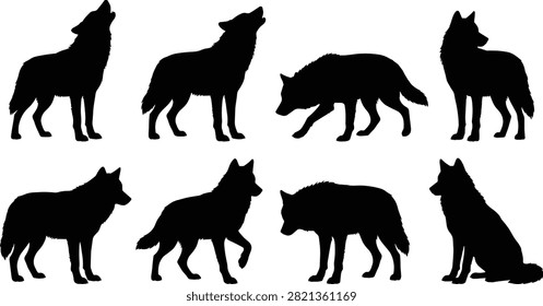 A collection of black wolf silhouettes featuring howling, walking, hunting, standing, and sitting poses. Suitable for wildlife branding, nature posters, educational materials, logos, stickers, tattoos, and outdoor-themed designs.
