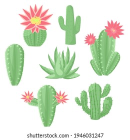 Collection of blooming cacti of different varieties. Vector illustration