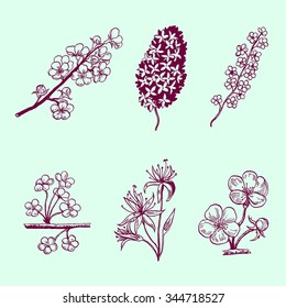 Collection of blossoming branches. 