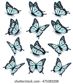 Collection of blue butterflies, flying in different directions. Vector.