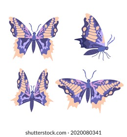 Collection of blue butterflies on white background. Concept of beautiful flying insects with colorful prints. Flat cartoon vector illustration