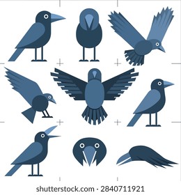 Collection of blue and gray bird illustrations in different poses and views