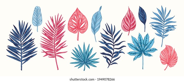 Collection of blue and pink tropical leaves and plants isolated on white background. Vector Hand Drawn Sketch Botanical Illustration. Highly detailed plant collection. Palm leaves. Exotic. Vintage