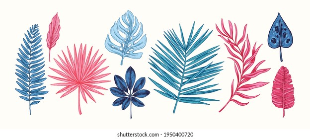 Collection of blue and pink tropical leaves and plants isolated on white background. Vector Hand Drawn Sketch Botanical Illustration. Highly detailed plant collection. Palm leaves. Exotic. Vintage