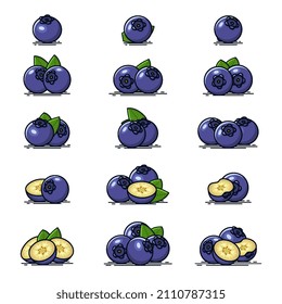 Collection of blueberries fruit vector icon illustration
