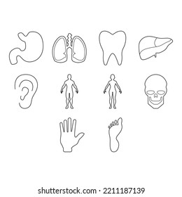 collection of body part icon vector