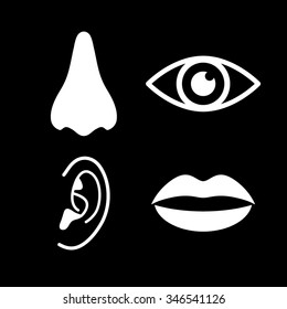 9,418 Eyes nose ear lips Images, Stock Photos & Vectors | Shutterstock