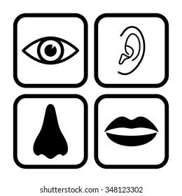 Collection of body parts - nose, eye, lips, ear - vector icon