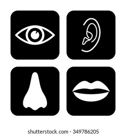 Collection of body parts - nose, eye, lips, ear - vector icon