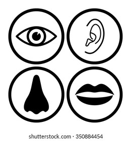 Collection of body parts - nose, eye, lips, ear - vector icon