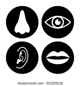 Collection Body Parts Nose Eye Lips Stock Vector (Royalty Free ...